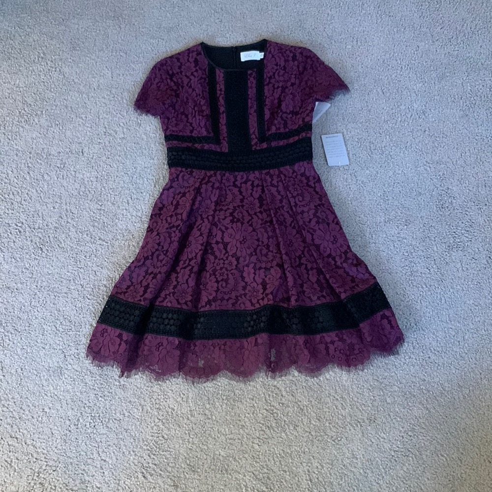 NWT Eliza J lace dress